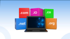 Domain Blog