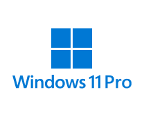 Windows 11 Pro